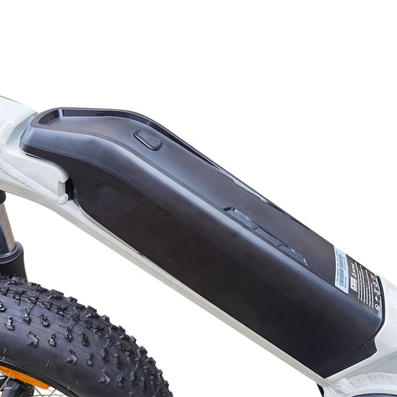 電気トライク48V 350W/500W電気トリサイクル3ホイールカーゴバイクミッドドライブディスクブレーキ20インチファットタイヤエビケ