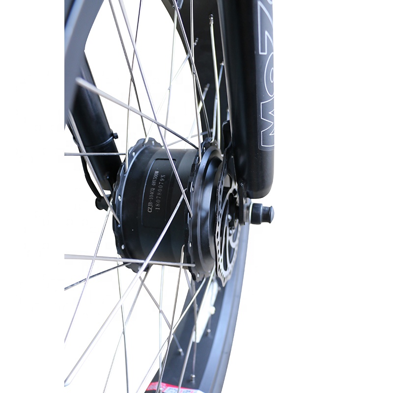 ハブモーターを備えた配送電気トリサイクル500W貨物エビケマンファットタイヤ3ホイール電動自転車用高齢ショッピング用