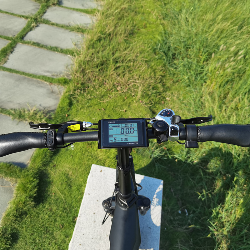 ベストセル48V 500W隠されたバッテリー折りたたみeBike 20*4インチファットタイヤシティエレクトリックバイクDISSブレーキ電動自転車とCE承認