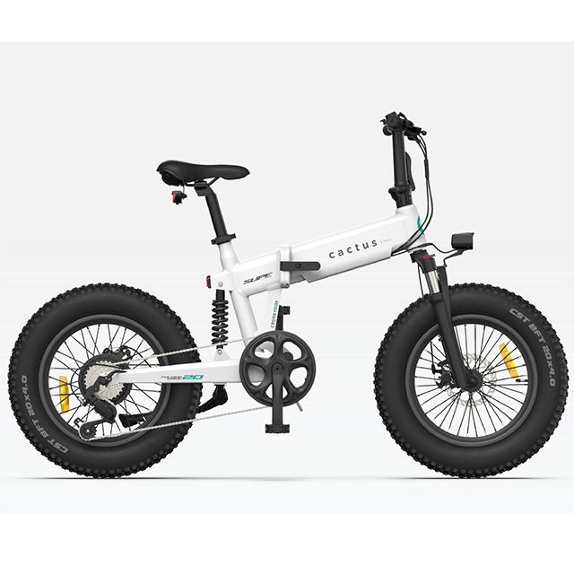 電気折りたたみ自転車48V10AH 250Wリアハブモーターファットタイヤエビケ