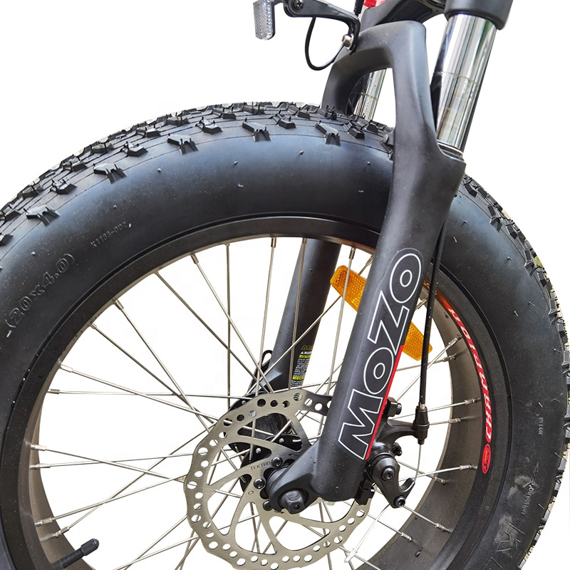 電気トライク48V 350W/500W電気トリサイクル3ホイールカーゴバイクミッドドライブディスクブレーキ20インチファットタイヤエビケ
