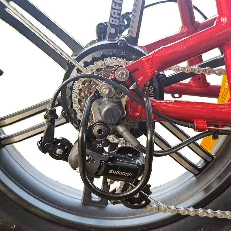 48Vダブルリチウムバッテリーを備えたテイクアウト電動自転 
