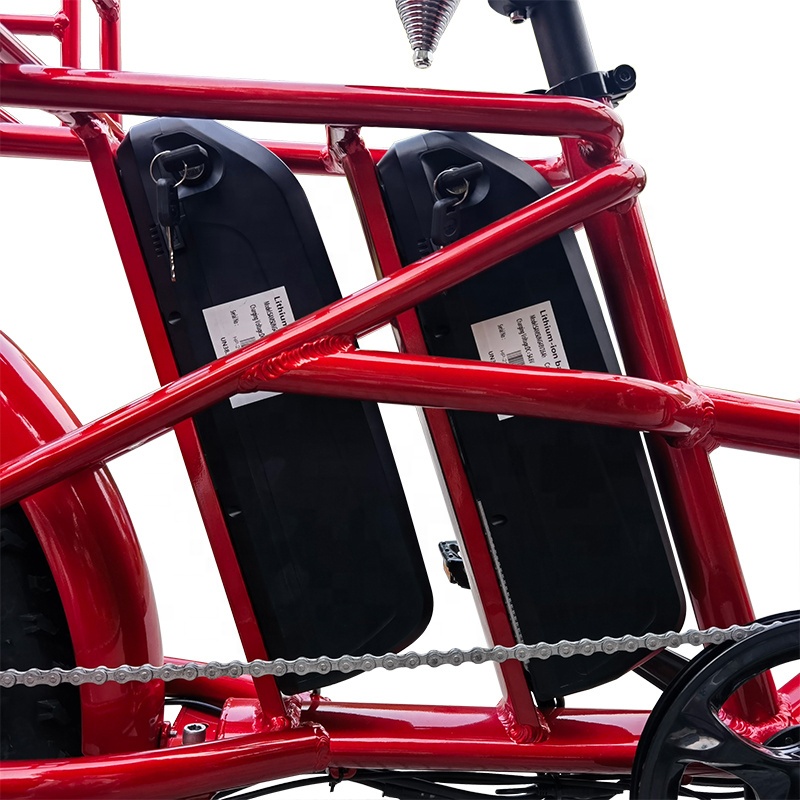 48Vダブルリチウムバッテリーを備えたテイクアウト電動自転 