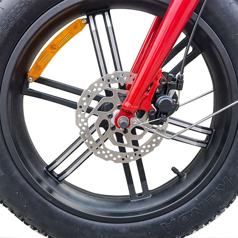 48Vダブルリチウムバッテリーを備えたテイクアウト電動自転 