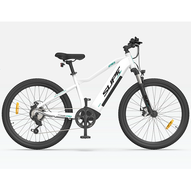 48V10AH 250Wリアハブモーター電動自転車MTB Eバイク