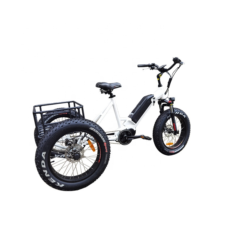 電気トライク48V 350W/500W電気トリサイクル3ホイールカーゴバイクミッドドライブディスクブレーキ20インチファットタイヤエビケ