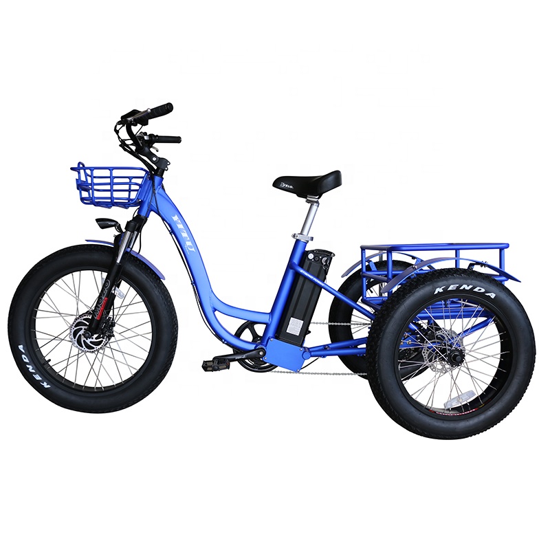 ハブモーターを備えた配送電気トリサイクル500W貨物エビケマンファットタイヤ3ホイール電動自転車用高齢ショッピング用